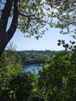 Le Fabuleux trésor de Fougères