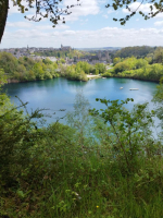 Le Fabuleux trésor de Fougères