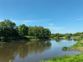 Et au milieu coule une rivière...