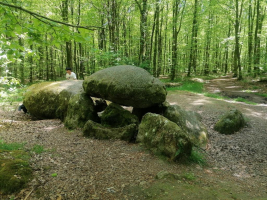 Fougères - Les Pierres des Druides