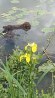 La Plousière c'est rigol'eau !