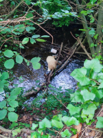 La Plousière c'est rigol'eau !