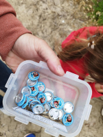 Geocaching Saint-Lunaire, côté terre