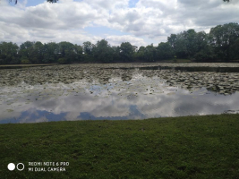 le dragon de l'Etang de La Forge