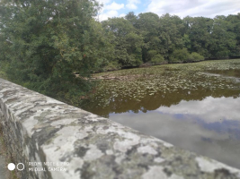 le dragon de l'Etang de La Forge