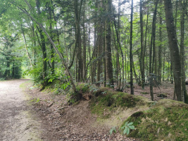 Dans un écrin de verdure