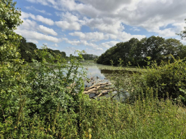 le dragon de l'Etang de La Forge