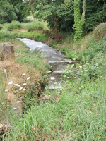 Saint-Brice, entre bocage et histoire