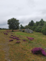 Les alignements du moulin