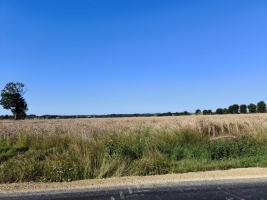 Les trésors cachés de Combourg à bicyclette