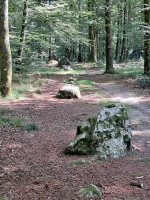 Fougères - Les Pierres des Druides