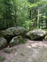 Fougères - Les Pierres des Druides