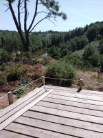 Dans les landes de la chambre au loup