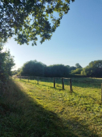 Leçon de choses au domaine de Careil