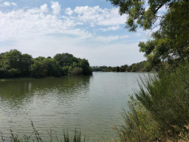 le dragon de l'Etang de La Forge