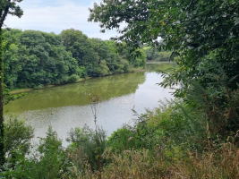 le dragon de l'Etang de La Forge