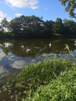 Et au milieu coule une rivière...