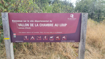 Dans les landes de la chambre au loup