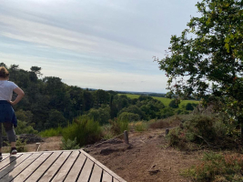 Dans les landes de la chambre au loup