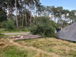 Trémelin en Brocéliande