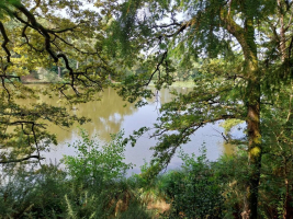 La Motte de Bâron, une seigneurie banale