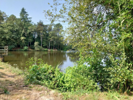 La Motte de Bâron, une seigneurie banale