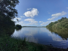 Epidanl'bec à l'Etang de Boulet