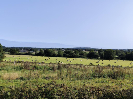 Servon, la nature sur un plateau