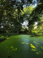 Servon, la nature sur un plateau