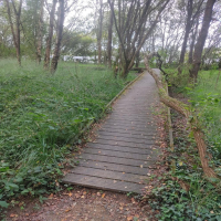 Epidanl'bec à l'Etang de Boulet