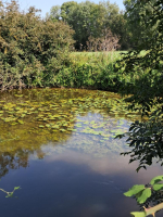 Servon, la nature sur un plateau