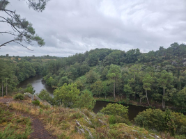 Dans les landes de la chambre au loup