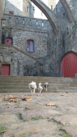 Saint Malo Gourmand