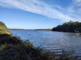 Epidanl'bec à l'Etang de Boulet