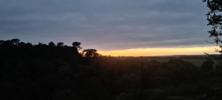 Dans les landes de la chambre au loup