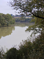 le dragon de l'Etang de La Forge