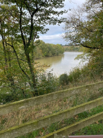 le dragon de l'Etang de La Forge