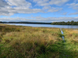 Epidanl'bec à l'Etang de Boulet