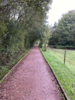 Leçon de choses au domaine de Careil