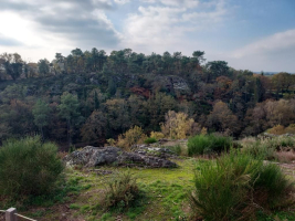 Dans les landes de la chambre au loup