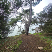 En cavale à Cancaval