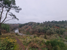 Dans les landes de la chambre au loup