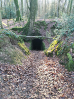 Fougères - Les Pierres des Druides