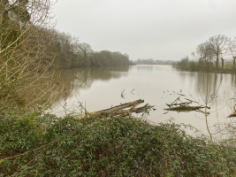 le dragon de l'Etang de La Forge