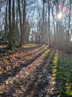 La Motte de Bâron, une seigneurie banale