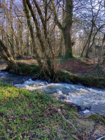 Au Pays de La Flume