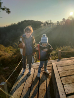 Dans les landes de la chambre au loup