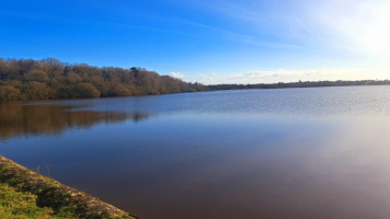 Epidanl'bec à l'Etang de Boulet