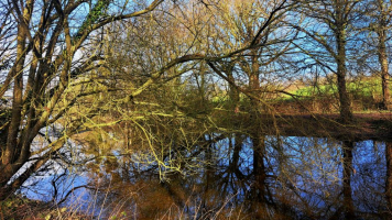 Epidanl'bec à l'Etang de Boulet