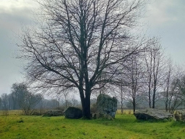 Lampouy alignements mégalithiques